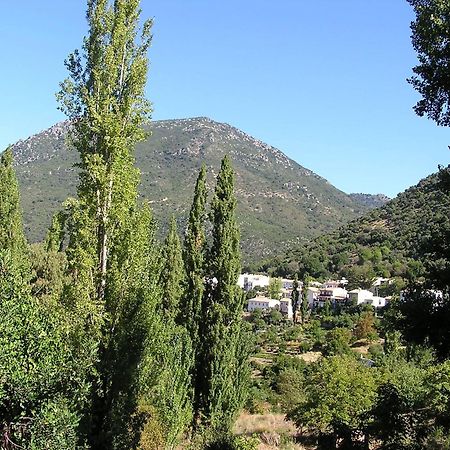 贝纳马奥马Napaimbe Sierra公寓 外观 照片